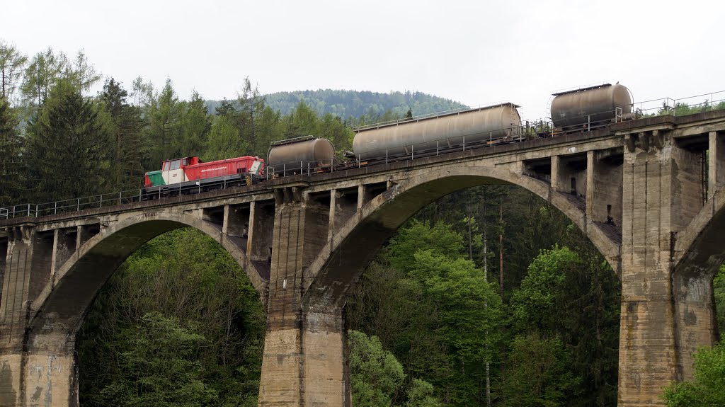 Feistritztalbahn Talcum-Train Grub Viadukt 3 by hanepu2