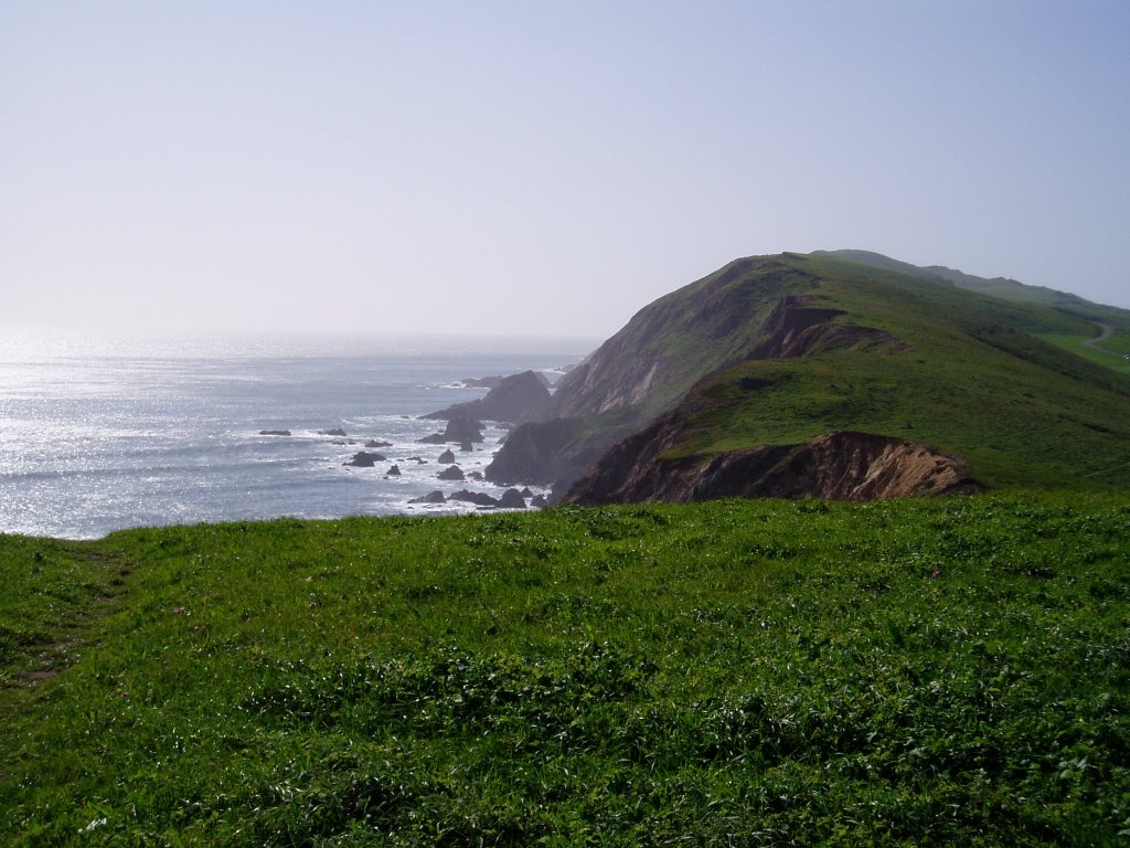 Marin County, CA, USA by silviodeluna