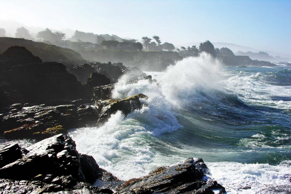 A wild morning at sea ranch by BIMpix