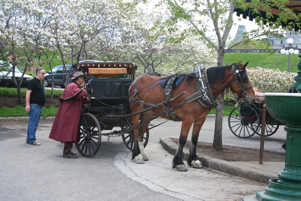 Horse & Buggy, Old Quebec by Frank Schilder