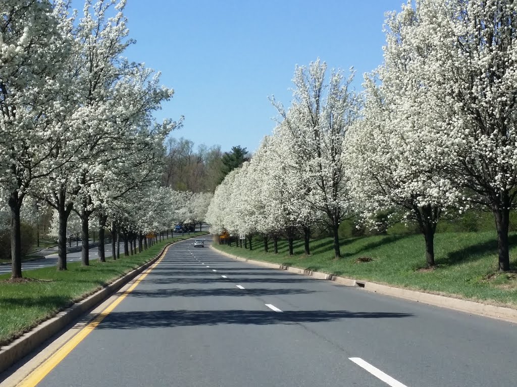 Norbeck Road by SchuminWeb