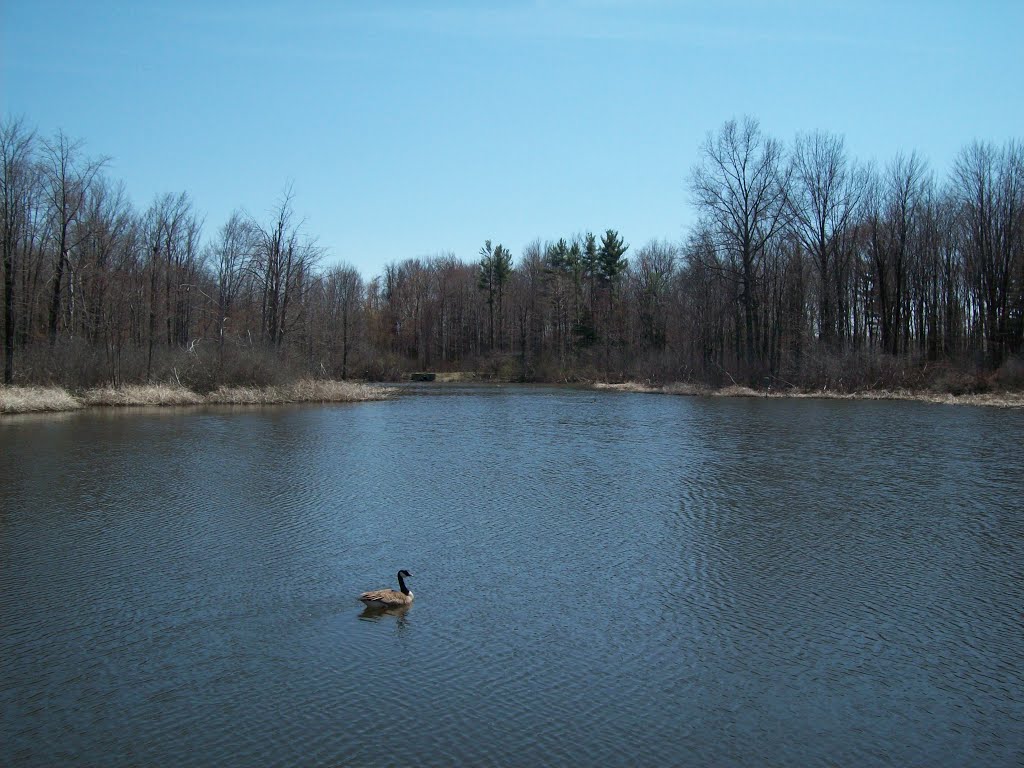 North Chagrin Metropolitin Park by Bent Head