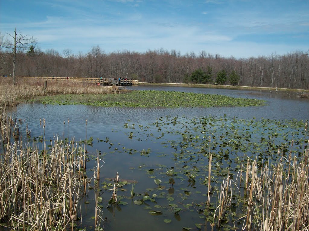 North Chagrin Metropolitin Park by Bent Head