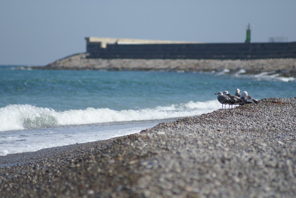 Playa Mar chica by Juan Hernández Ruano