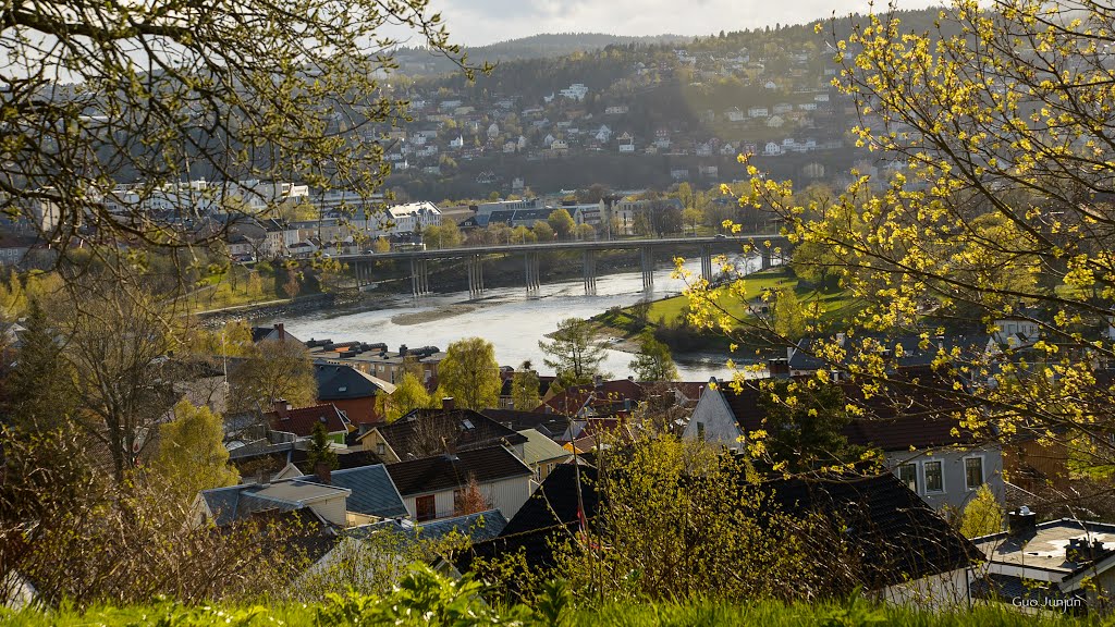 Elgeseter bru, Trondheim by GuoJunjun