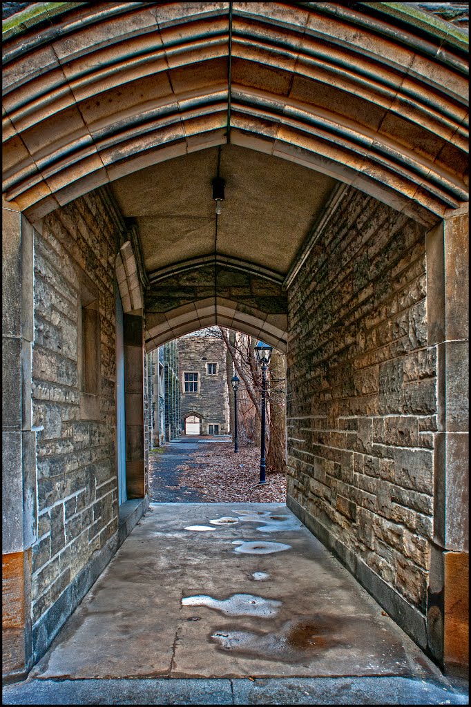 University Of Toronto by Faryndale