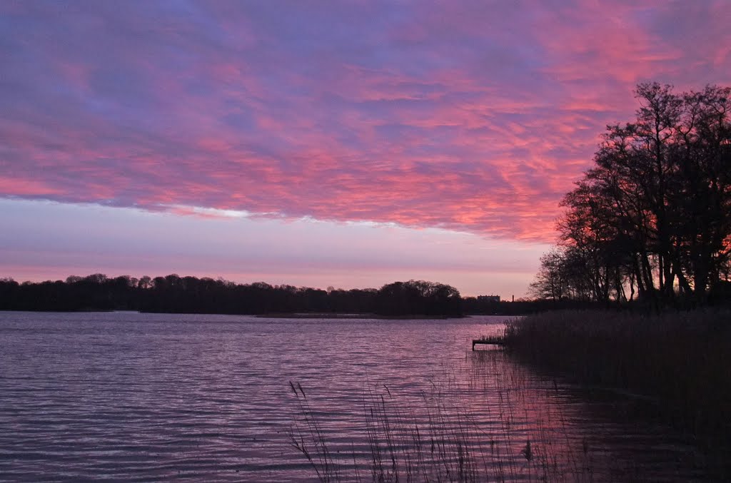 Morgenstund ved Lyngby Sø by Pictybjerg