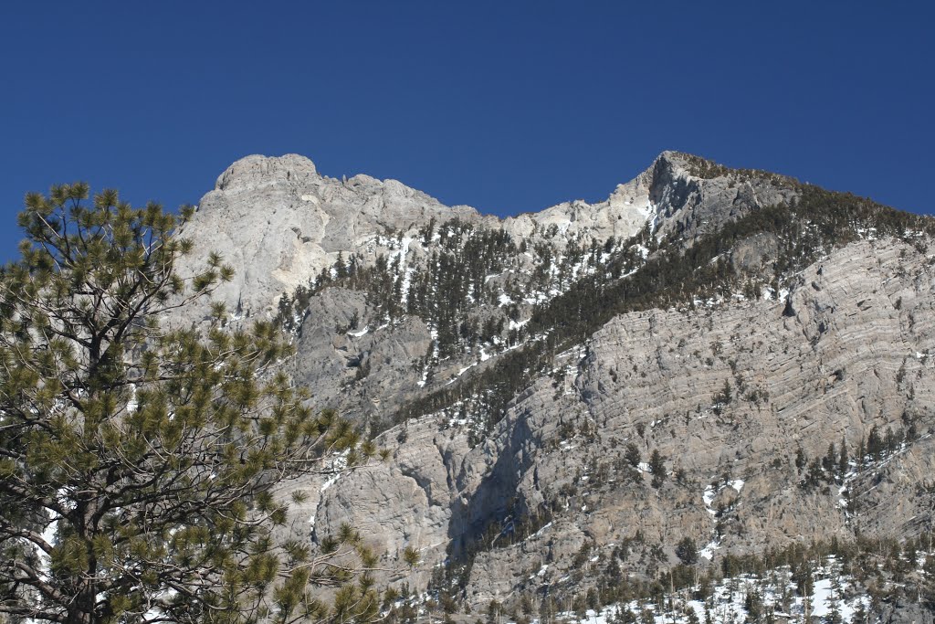 View From Mt Charleston Ski Resort by win2win