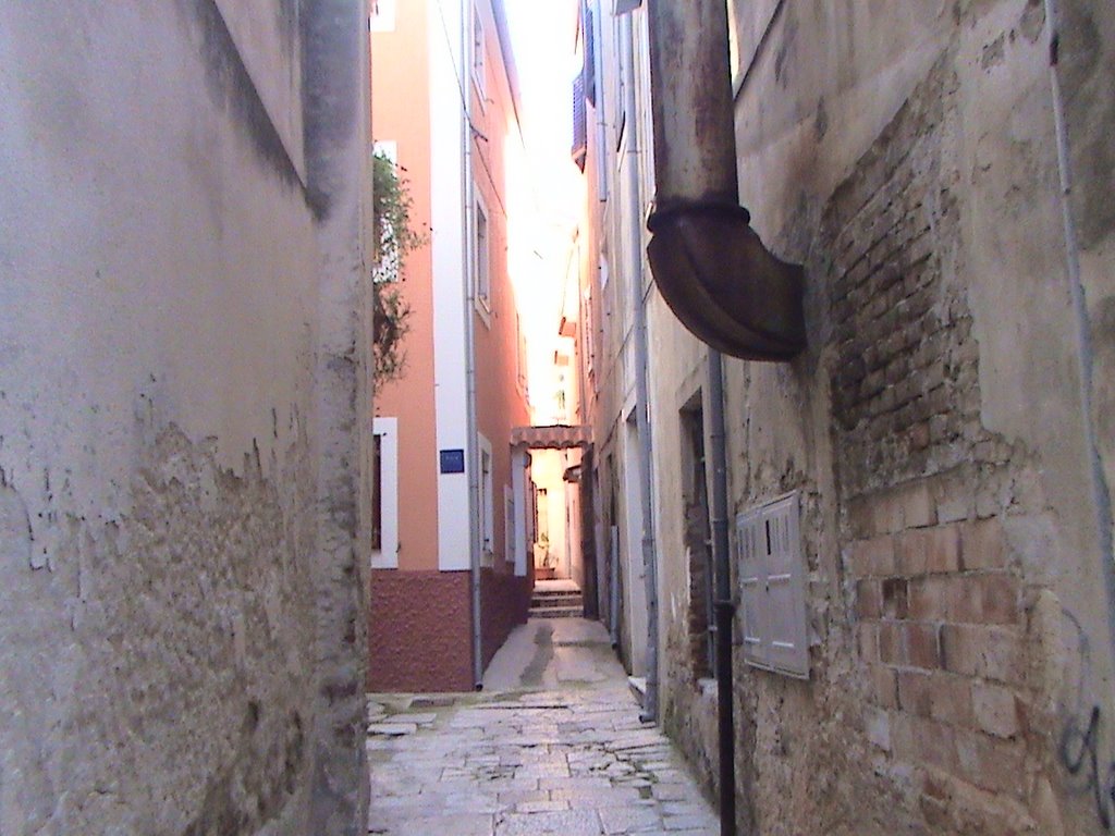 Street in Mali Losinj by Tony