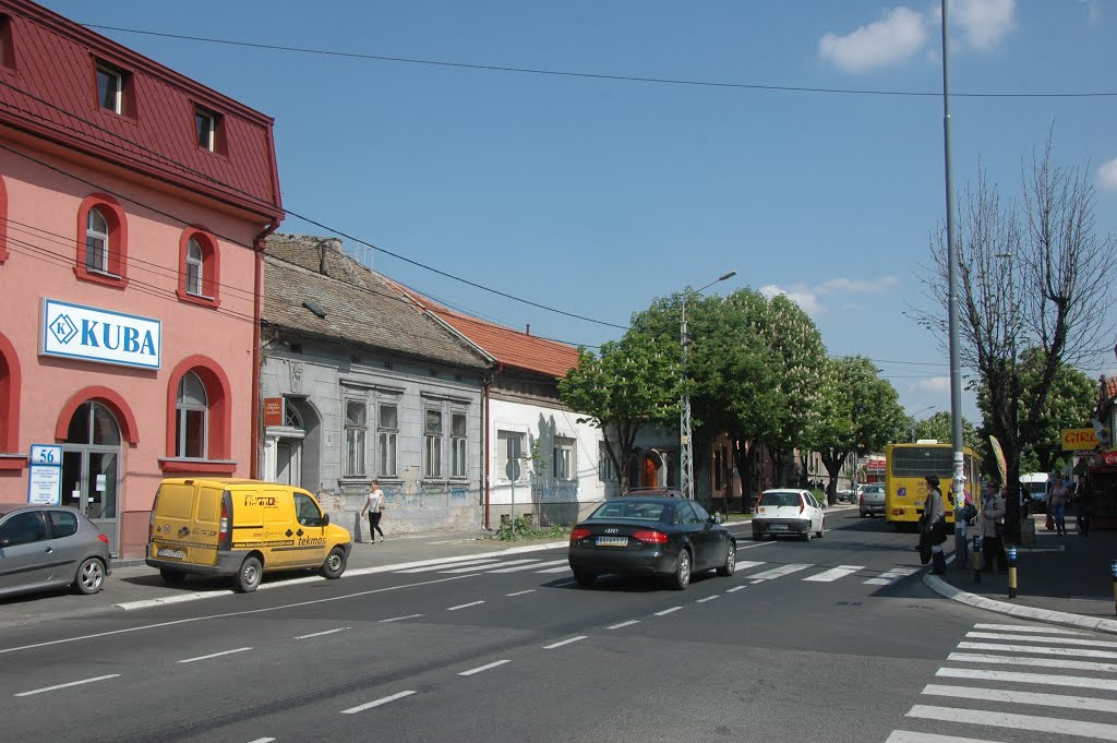 Zemun, Ulica Cara Dušana by Teča sa Dunava