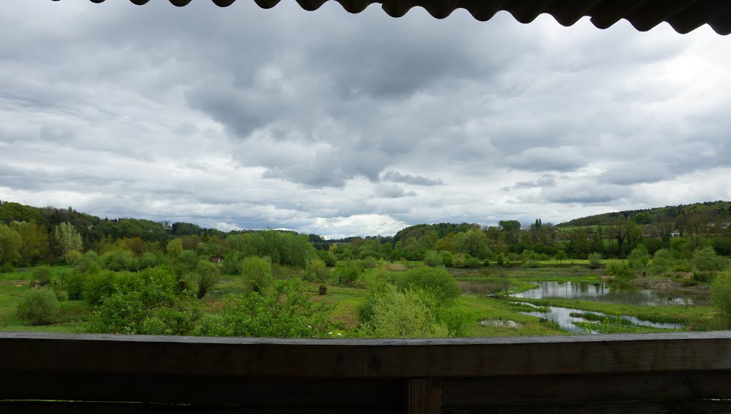 Naturschutzgebiet Auried Kleinbösingen by velofranz