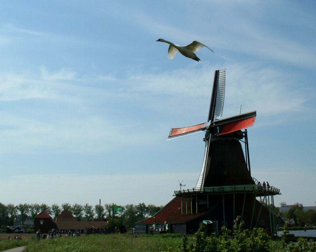 Zaanse Schans by © Wim