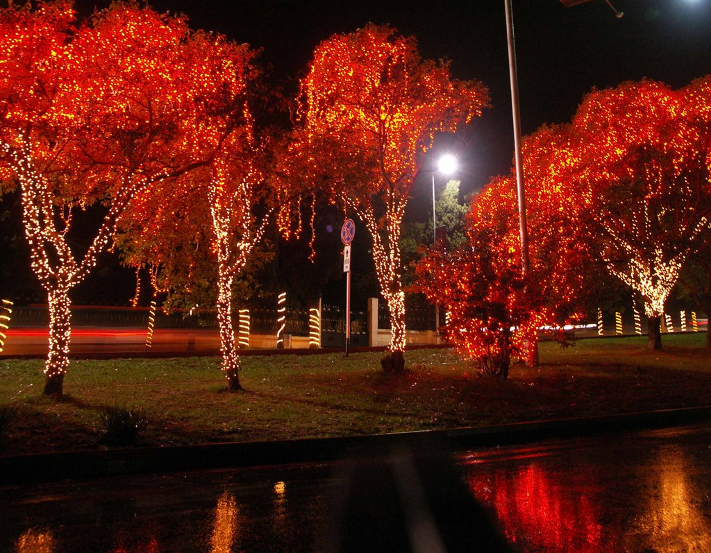 Sochi in night by ankhop