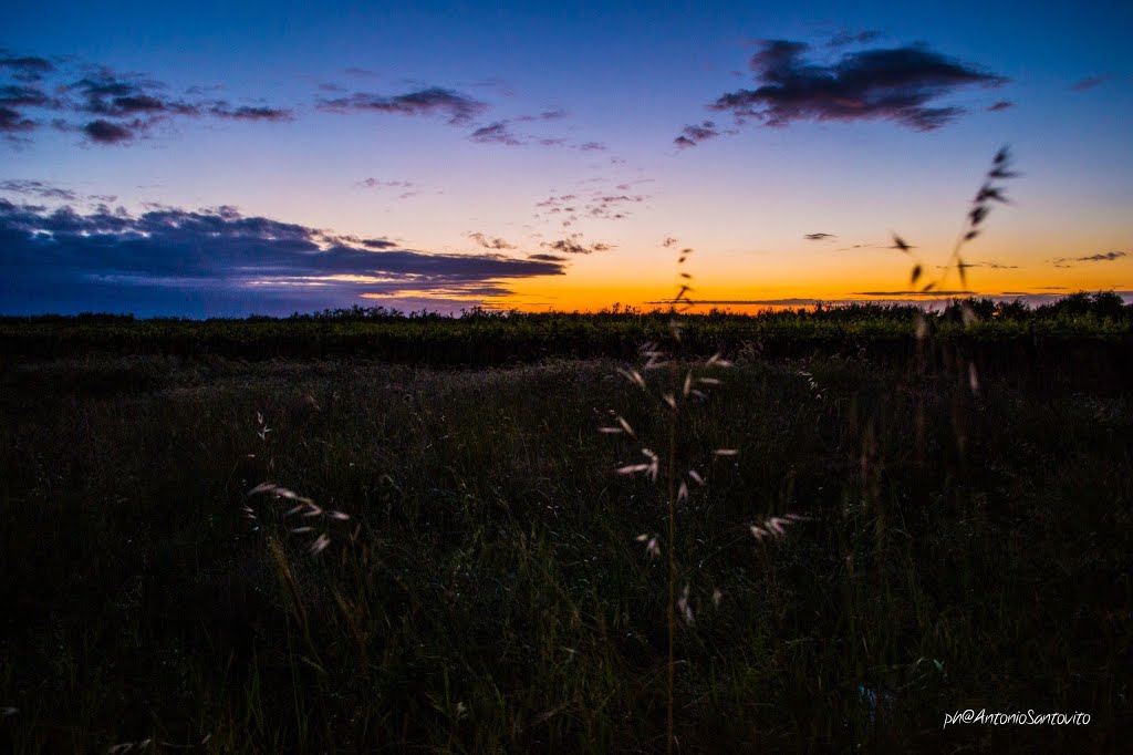 Andria, campagna al tramonto by antsan