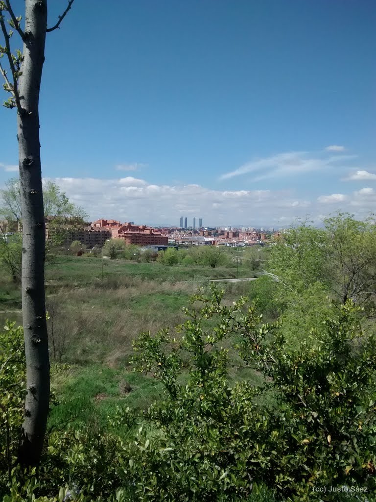 Carril Bici Peineta by Justo Sáez Arenas