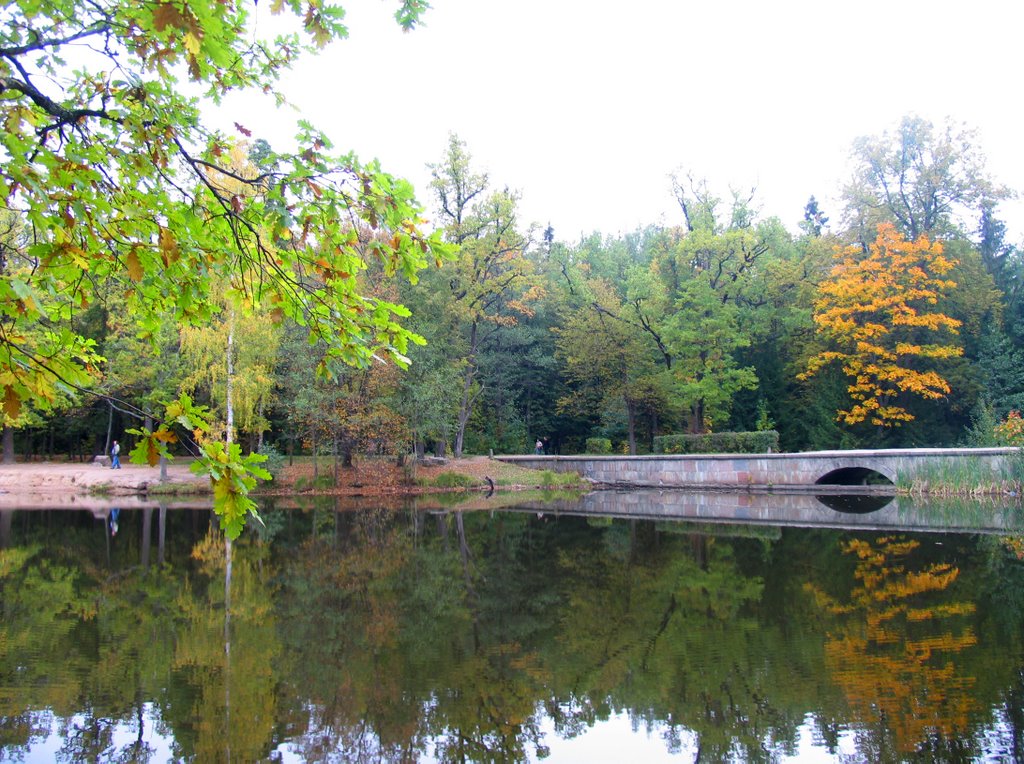 Petergof, Saint Petersburg, Russia by inkeri