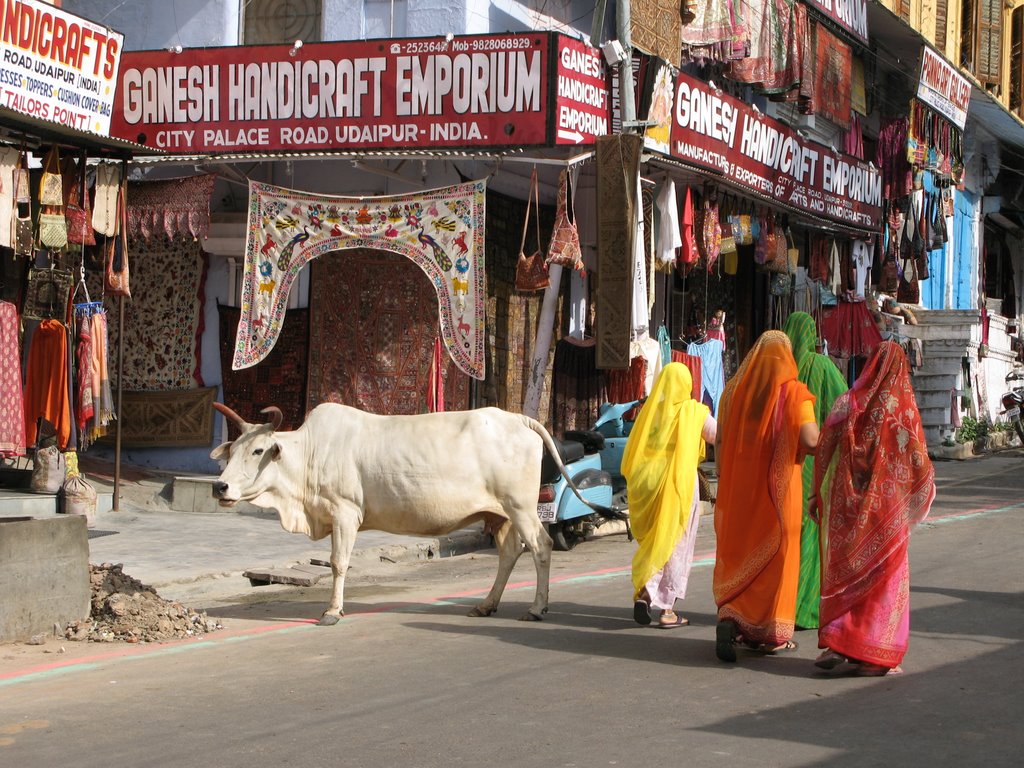 Udaipur market by Prof. Richard T. Mor…