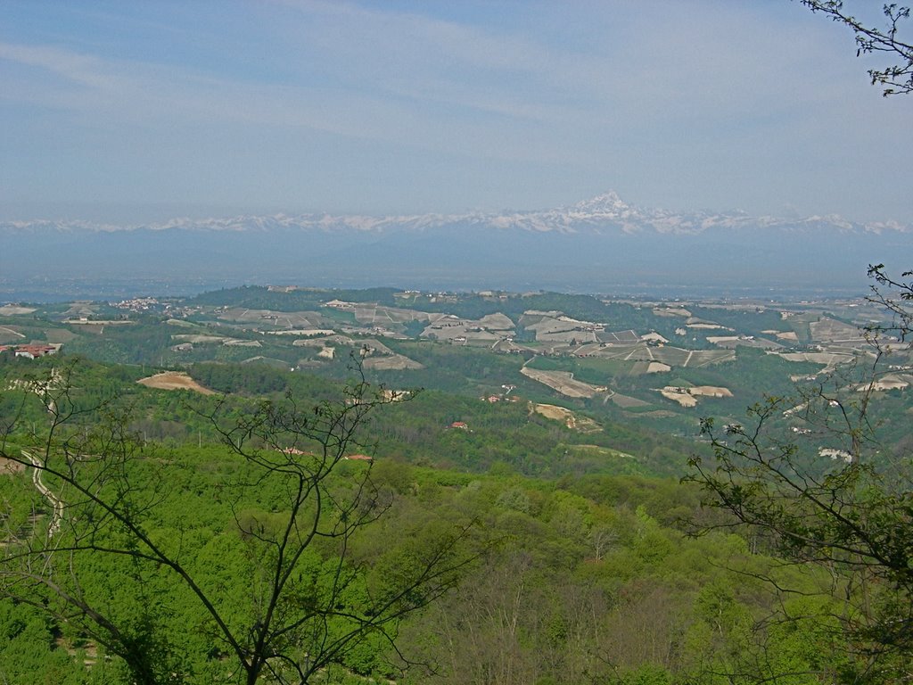 In den Langhe by Roman Bertolami