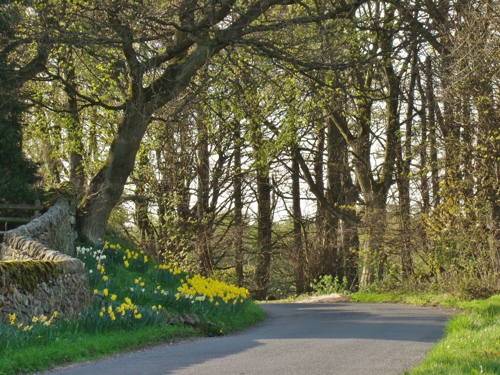 Springtime scene on Sir William Hill Road, Grindleford S32 by six45ive