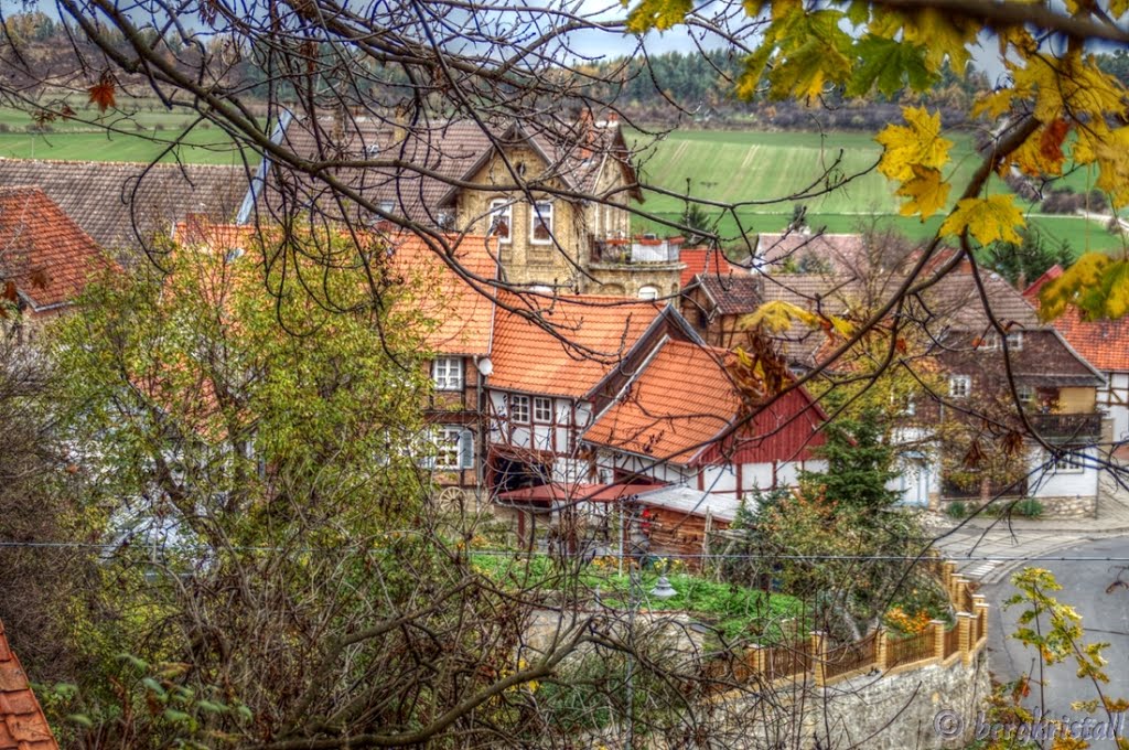 Blick vom Lindenberg by ☼❄ bergkristall ❆☼