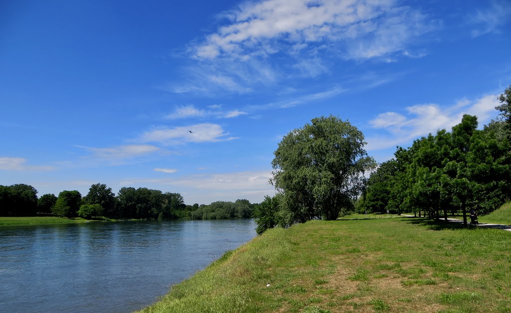 Pavia , Parco del Ticino by Piero Crosia