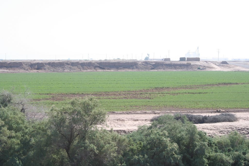 Subsidence in a Imperial Valley field at the corner of Rutherford Rd. and Hiway 111 by rokskid