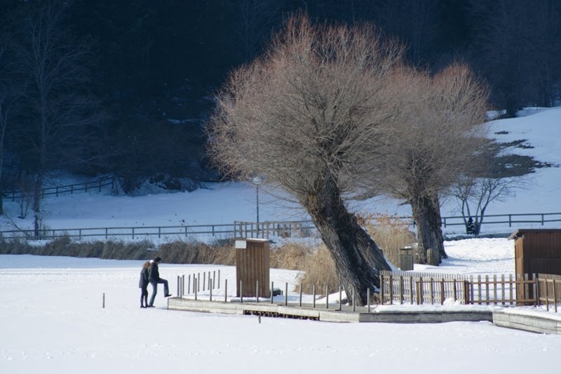 Due passi sul lago ghiacciato by Luca Andrighetto