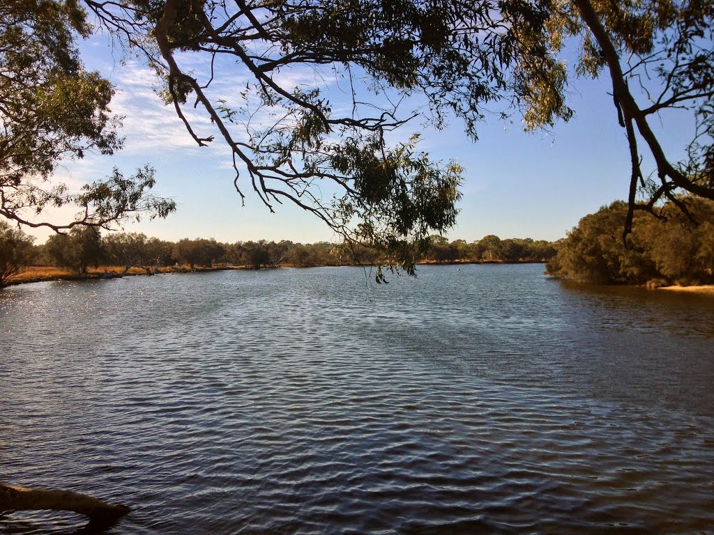 Ashfield Flats, Swan River, Ashfield, Perth, Australia by metrotrekker