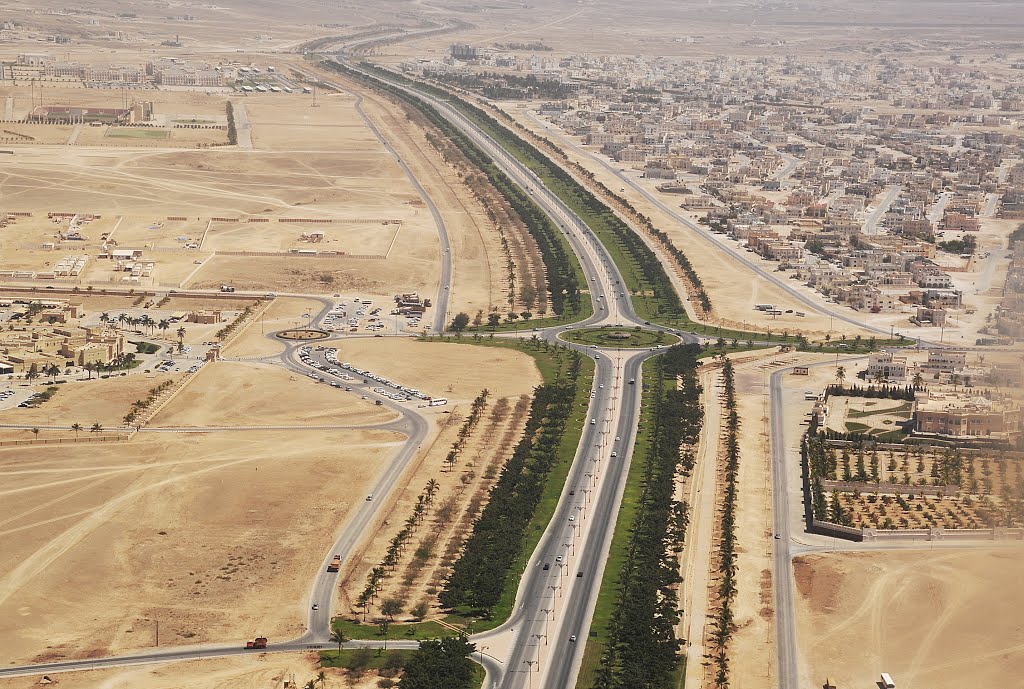 Road with palms in Salalah by birdy@lulu