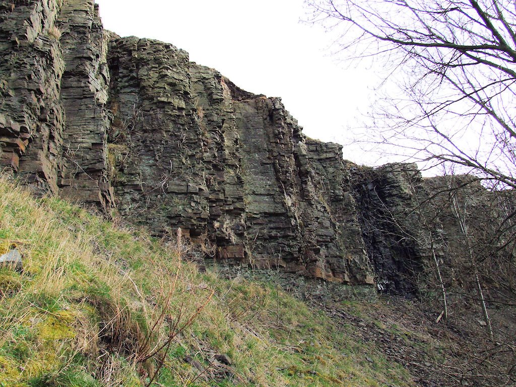 Wrose Hill, lower face of old quarry - this is a Regionally Important Geological Site (RIGS) by Idle Moor