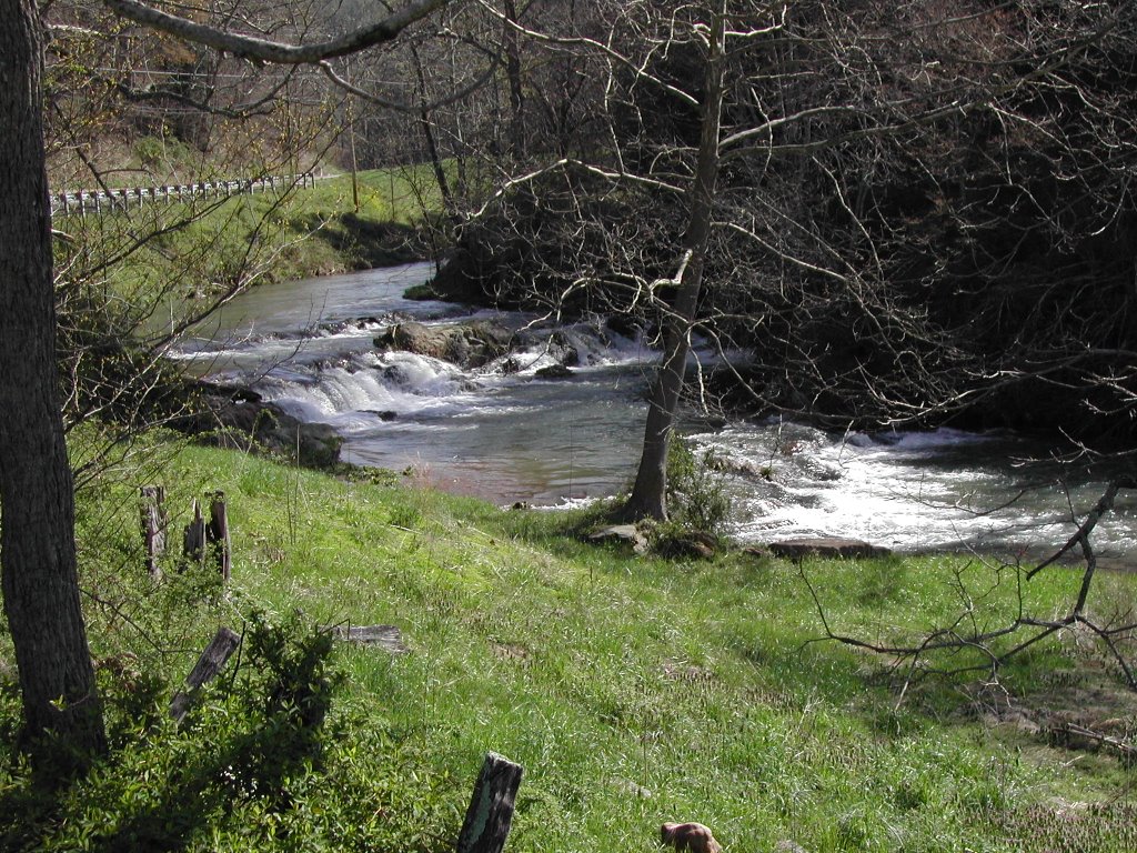 Doe Creek, Johnson County, TN by reflen