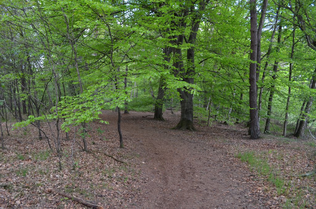 Landgoederenroute (Blauw - 11,9km), Hof Espelo by SietzeBakker