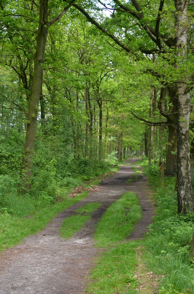 Landgoederenroute (Blauw - 11,9km), Hof Espelo by SietzeBakker