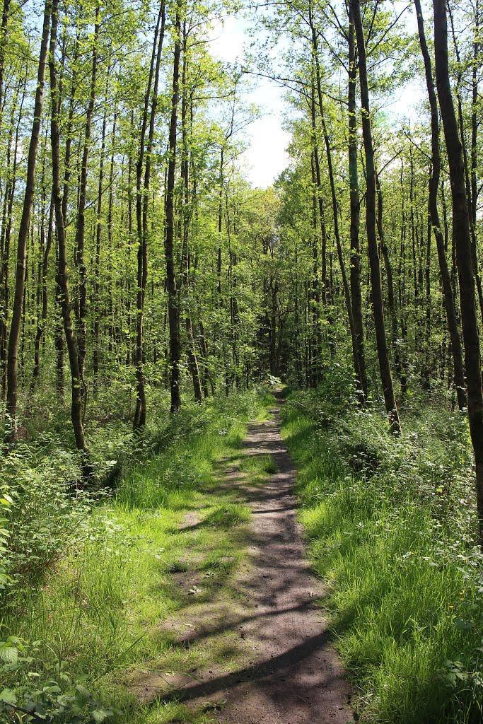 Landgoederenroute (Blauw - 11,9km), Hof Espelo by SietzeBakker