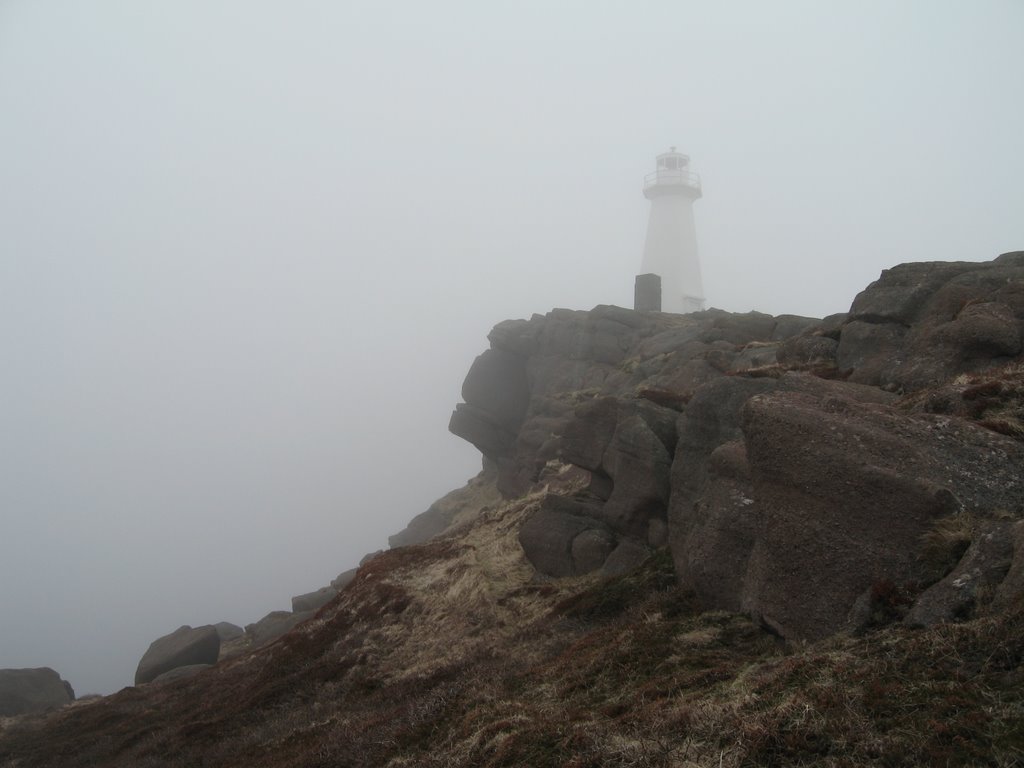 Cape Spear Newfoundland by norm.beltrame