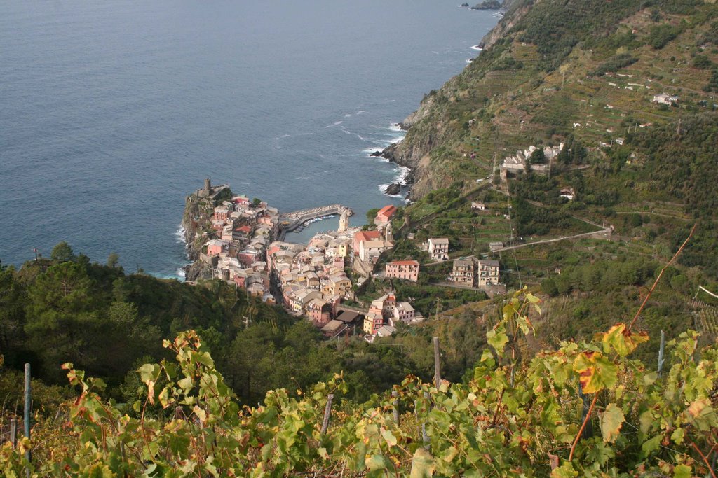 Vernazza from above by Per Lange