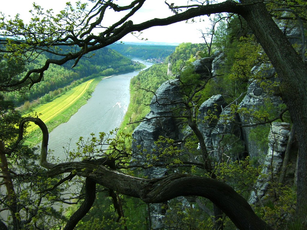 Elbblick von Bastei Sächsische Schweiz by jazzzico