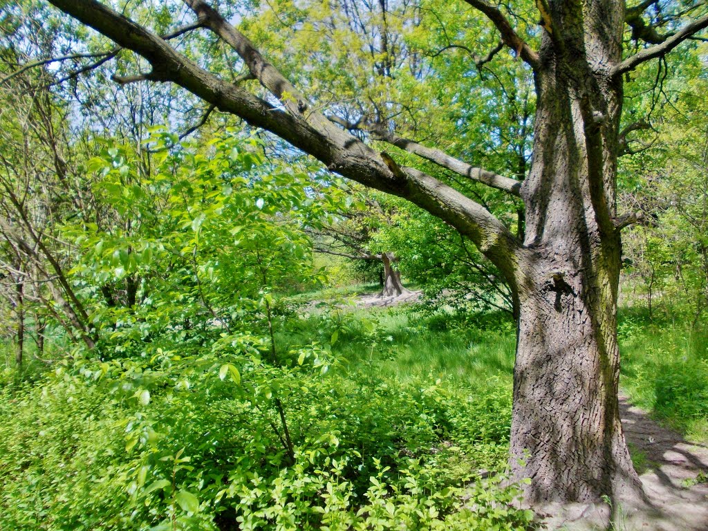 Kraków, Nowy Bieżanów - Park Aleksandry by wuhazet