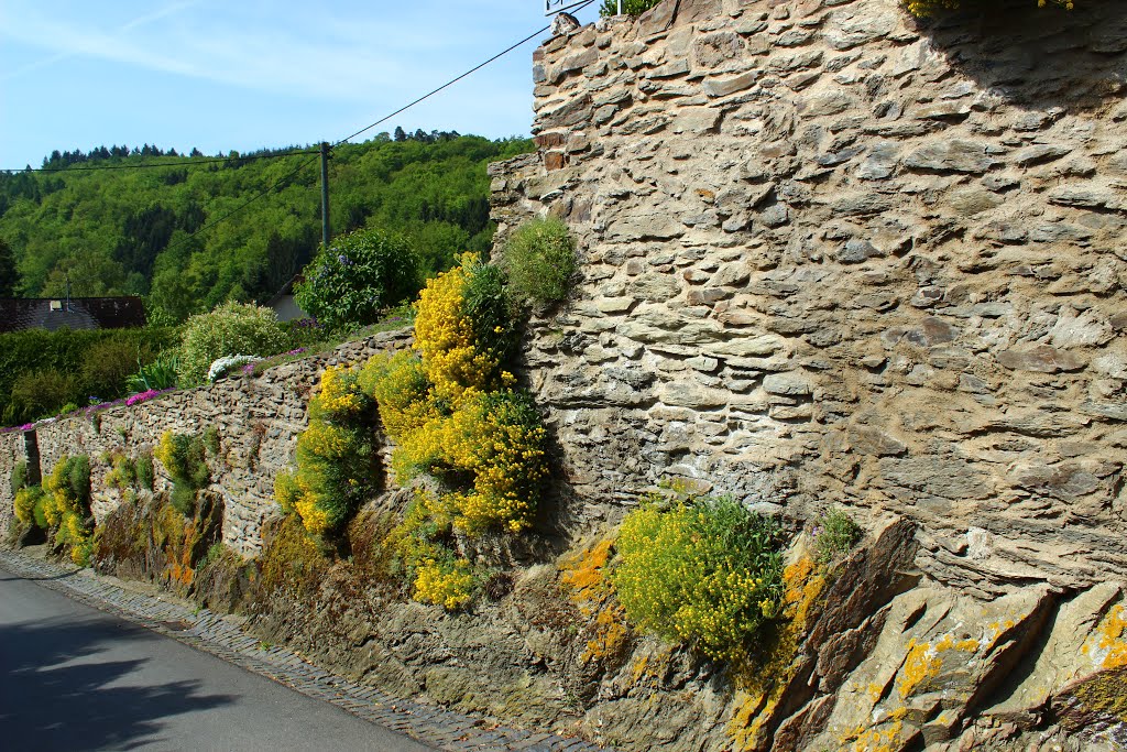 KE - Schloßstraße Neuweilnau by Karl Eggenmüller-Panoramio, the only way for 