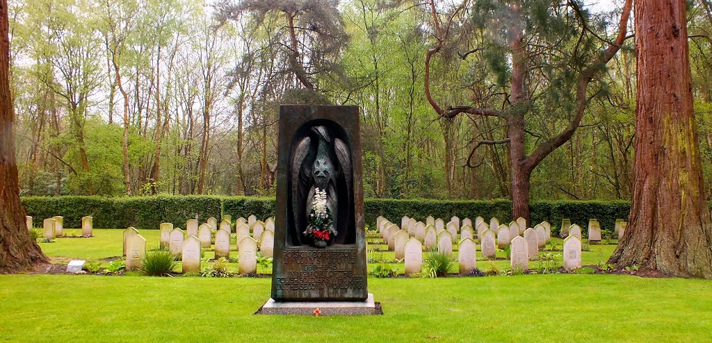 Brookwood Military Cemetery,Polish Plot World War graves.May 2014. by IsabellaJ