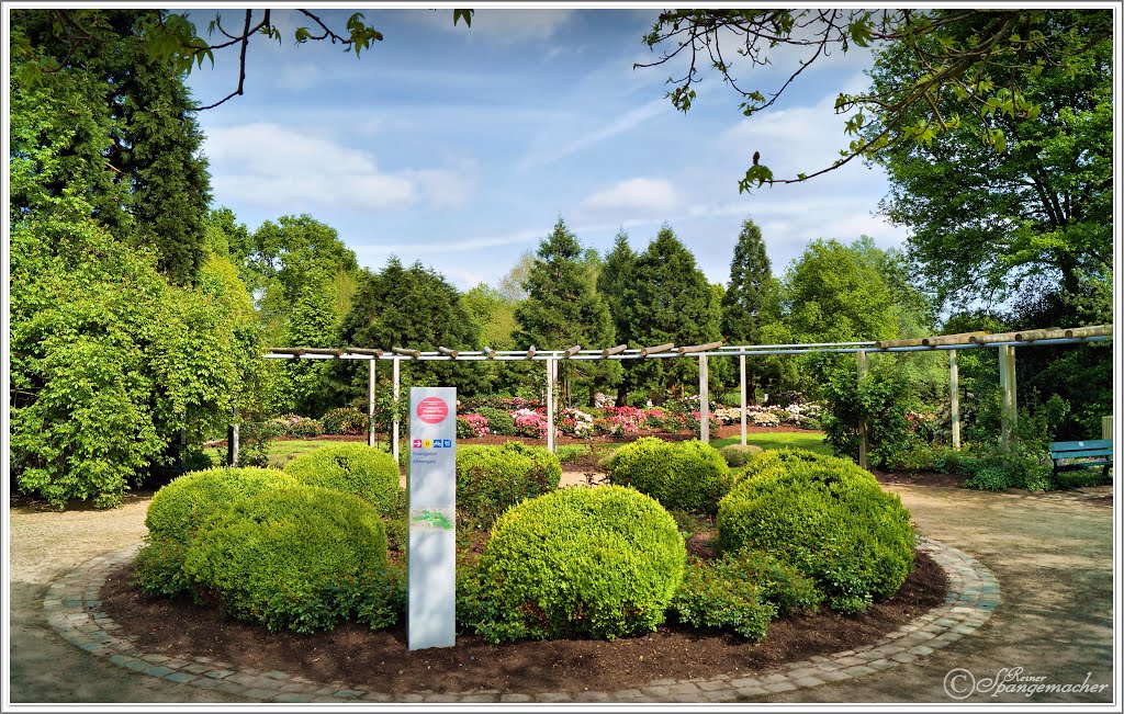 Hübsche Gartengestaltung im Rhododendron-Park by Reiner Spangemacher