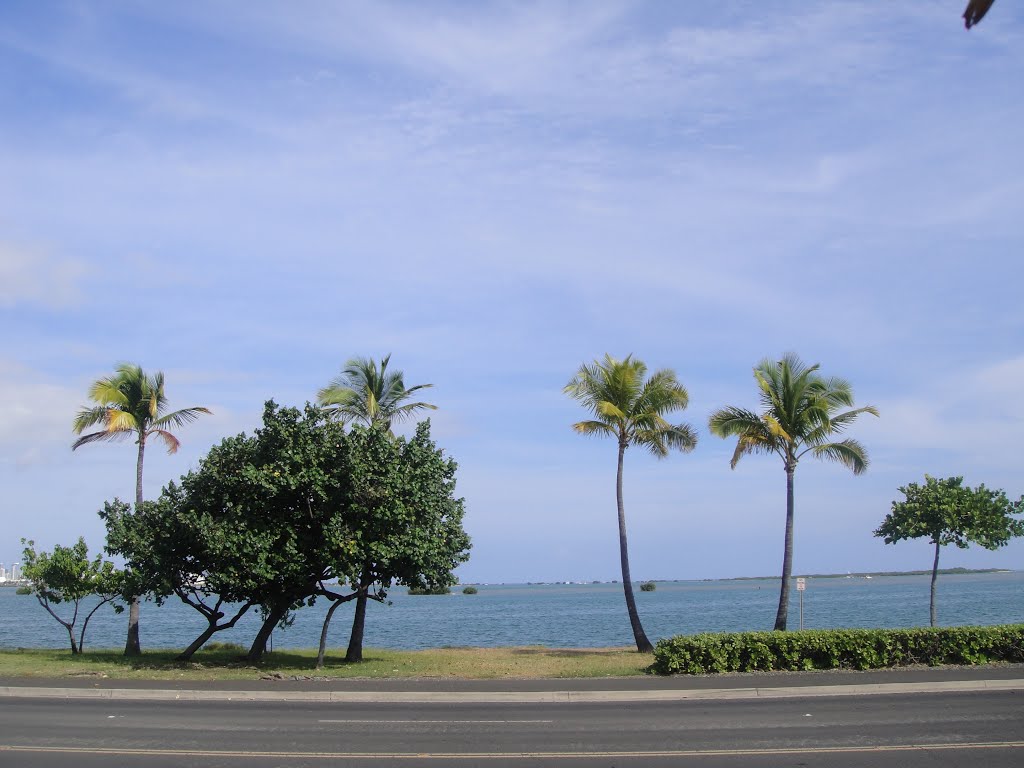 Near Honolulu airport by 2.g.b.sakamoto