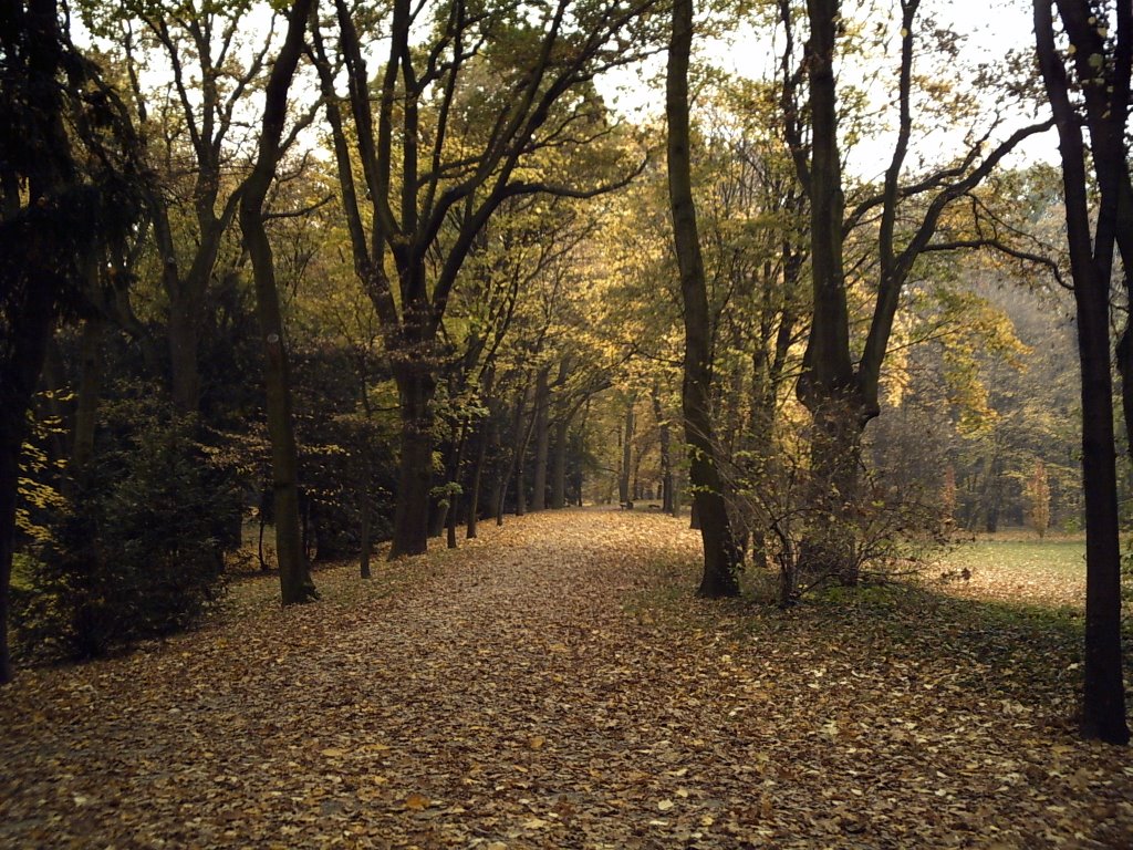 Park Szczytnicki jesienią (11.2004) by Schulgann