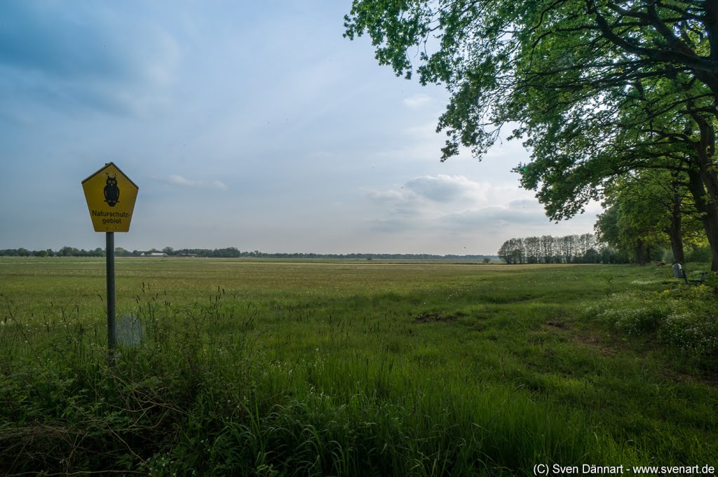 Oberalsterniederung by svenart