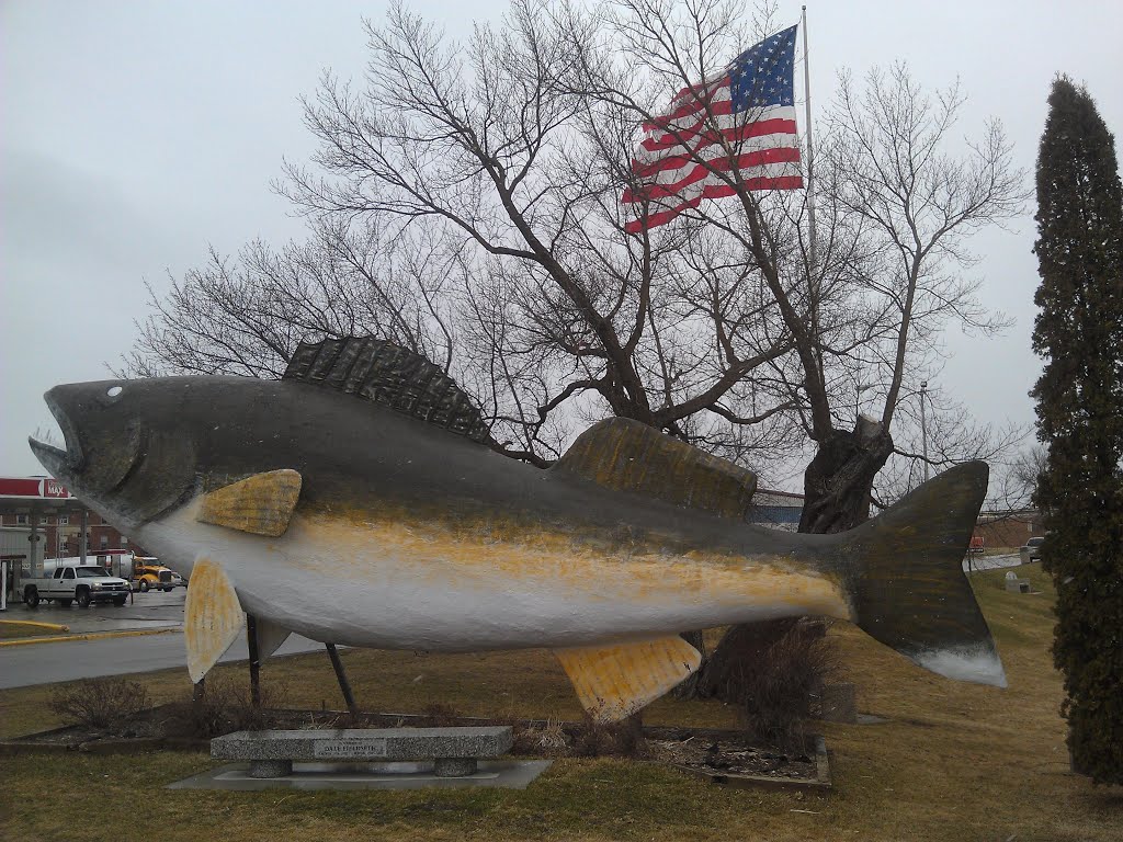 Willie Walleye- Baudette MN by kevystew