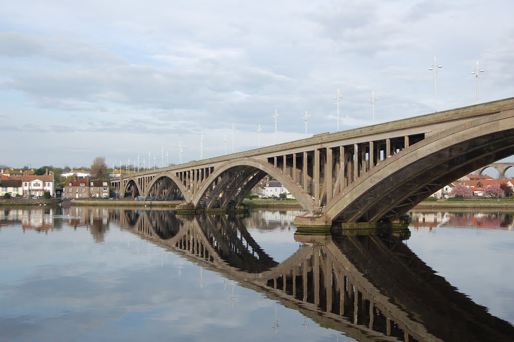 Royal Tweed Bridge by Stuart Wright