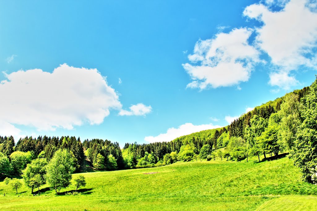 Der Ernst-Füllgrabe-Weg führt hier den Berg hinauf. Hier kann man schön um Lonau spazieren ... ♥ by Boris Gonschorek