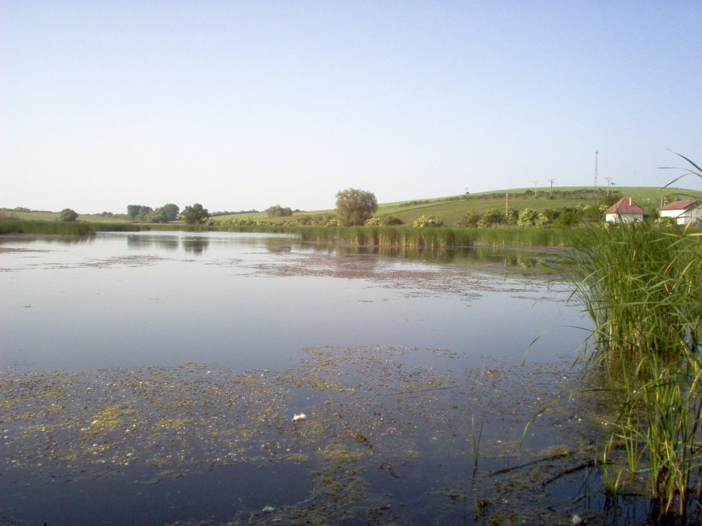 Csend, nyugalom és természet, Kamenica nad Hronom by Péter Mészáros