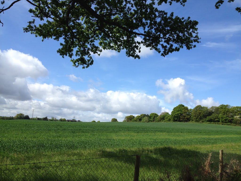 A232 Guildford Road towards the Hogs Back by Alanassurbanipal