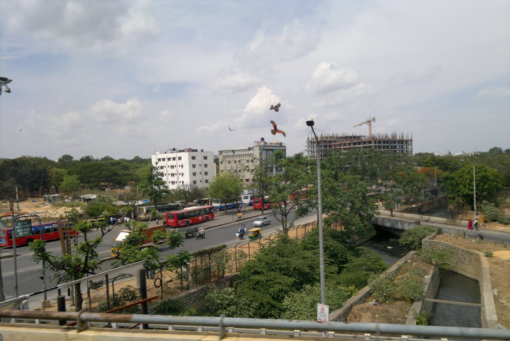 Beautiful Sceine,Birds Fly Over Traffic,Venkatapura, HSR Layout, Bangalore, Karnataka, India by kamalakaranthati